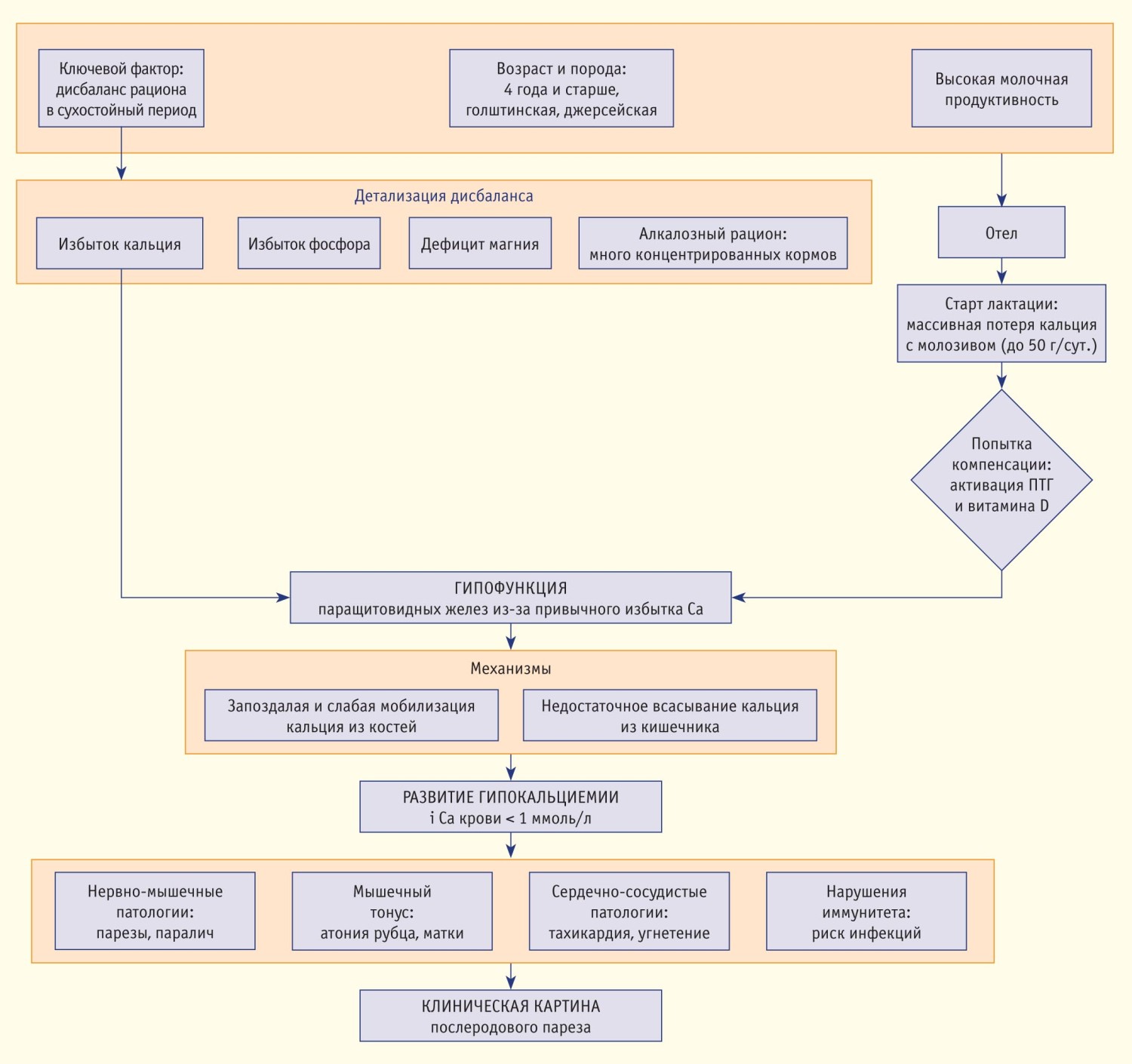 Механизм развития послеродового пареза